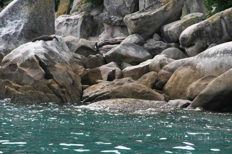 Nieuw-Zeeland 2011 - 1000